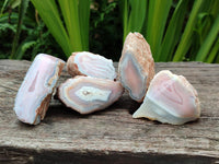 Polished On One Side Pink Shashe River Agate Nodules x 24 From Shashe River, Zimbabwe