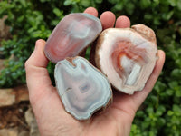 Polished On One Side Pink Shashe River Agate Nodules x 24 From Shashe River, Zimbabwe