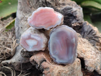 Polished On One Side Pink Shashe River Agate Nodules x 24 From Shashe River, Zimbabwe