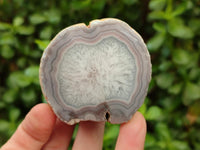 Polished On One Side Pink Shashe River Agate Nodules x 24 From Shashe River, Zimbabwe