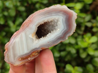 Polished On One Side Pink Shashe River Agate Nodules x 24 From Shashe River, Zimbabwe