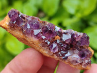 Natural Amethystos Amethyst Clusters x 35 From Kwaggafontein, South Africa