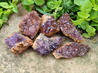 Natural Amethystos Amethyst Clusters x 35 From Kwaggafontein, South Africa