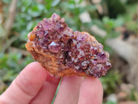 Natural Amethystos Amethyst Clusters x 35 From Kwaggafontein, South Africa