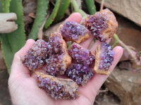 Natural Amethystos Amethyst Clusters x 35 From Kwaggafontein, South Africa