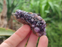 Natural Amethystos Amethyst Clusters x 35 From Kwaggafontein, South Africa
