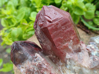 Natural Red Hematoid Quartz Clusters x 3 From Karoi, Zimbabwe