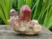 Natural Red Hematoid Quartz Clusters x 3 From Karoi, Zimbabwe