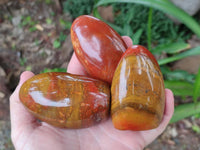 Polished Red Flame Jasper Standing Free Forms x 6 From Madagascar