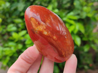 Polished Red Flame Jasper Standing Free Forms x 6 From Madagascar