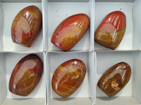 Polished Red Flame Jasper Standing Free Forms x 6 From Madagascar