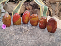 Polished Red Flame Jasper Standing Free Forms x 6 From Madagascar