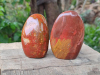 Polished Red Flame Jasper Standing Free Forms x 6 From Madagascar
