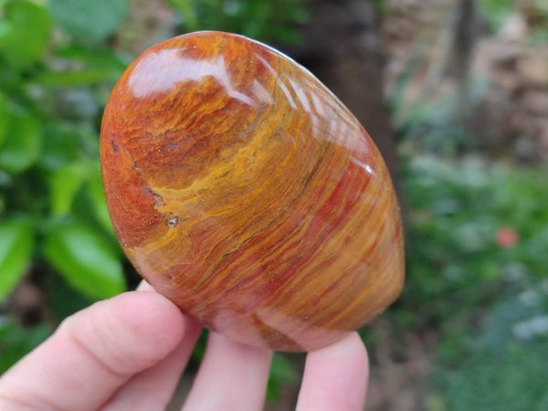 Polished Red Flame Jasper Standing Free Forms x 6 From Madagascar