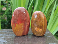 Polished Red Flame Jasper Standing Free Forms x 6 From Madagascar