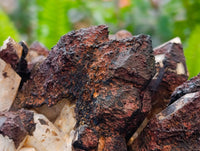 Natural Hematite Iron Coated Cluster x 1 From Madagascar