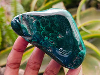 Polished Flower Banded Malachite Free Forms x 6 From Congo