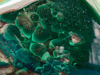 Polished Flower Banded Malachite Free Forms x 6 From Congo