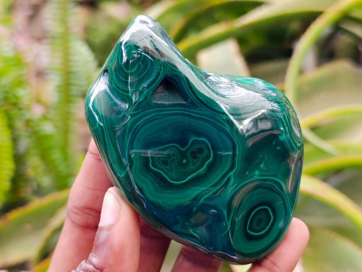 Polished Flower Banded Malachite Free Forms x 6 From Congo