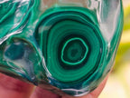 Polished Flower Banded Malachite Free Forms x 6 From Congo