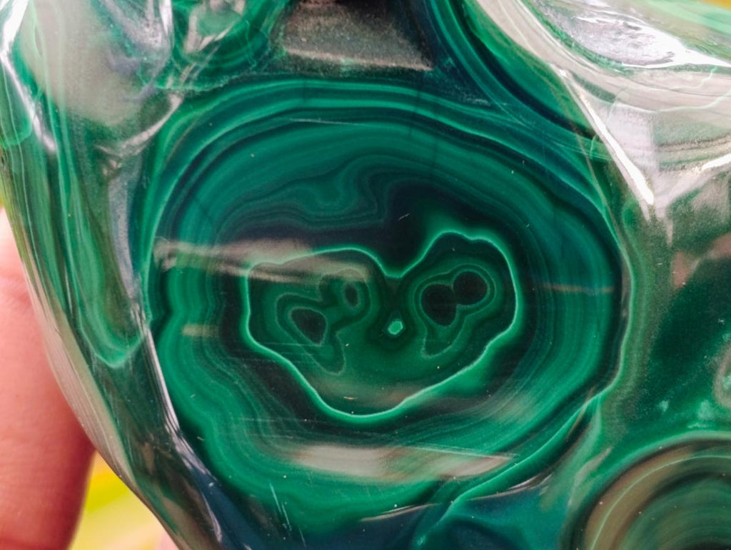 Polished Flower Banded Malachite Free Forms x 6 From Congo