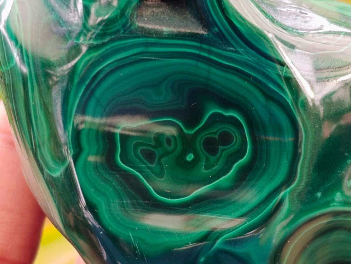 Polished Flower Banded Malachite Free Forms x 6 From Congo