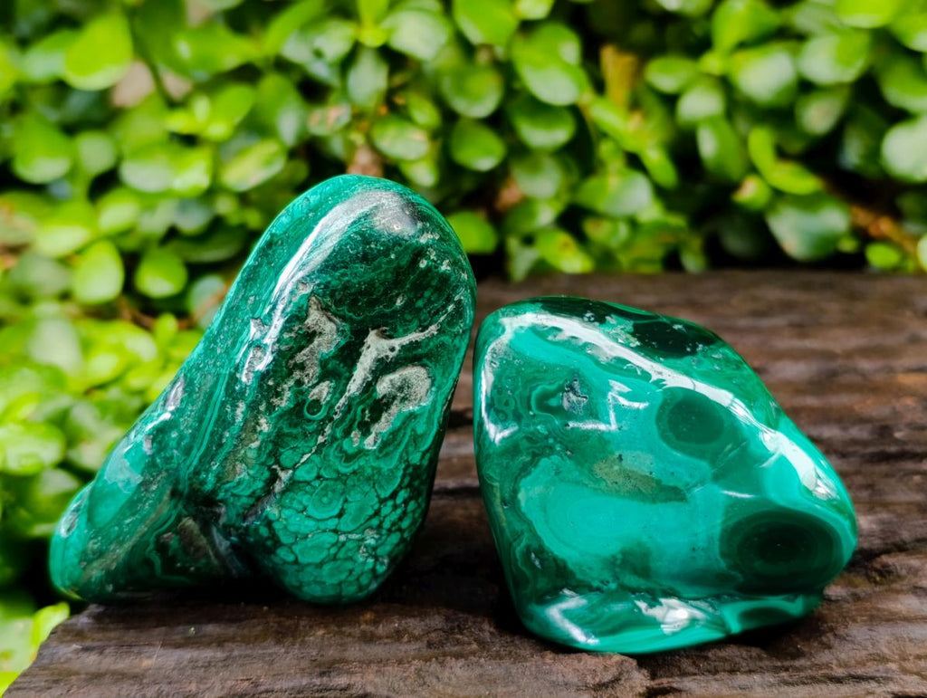 Polished Flower Banded Malachite Free Forms x 6 From Congo