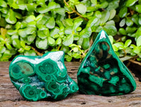 Polished Flower Banded Malachite Free Forms x 6 From Congo