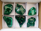 Polished Flower Banded Malachite Free Forms x 6 From Congo