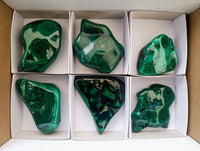 Polished Flower Banded Malachite Free Forms x 6 From Congo