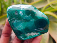 Polished Flower Banded Malachite Free Forms x 6 From Congo
