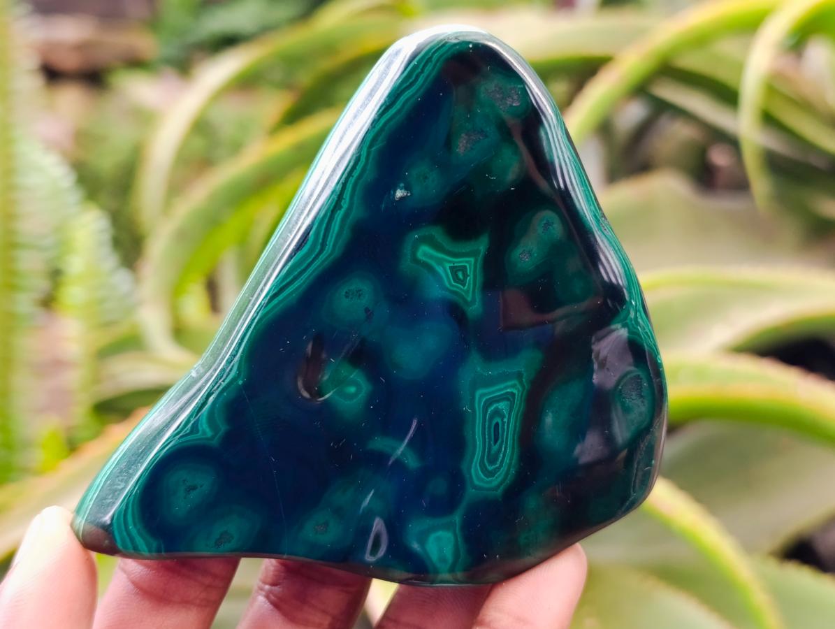 Polished Flower Banded Malachite Free Forms x 6 From Congo