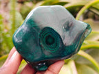 Polished Flower Banded Malachite Free Forms x 6 From Congo