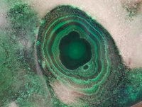 Polished Flower Banded Malachite Free Forms x 6 From Congo