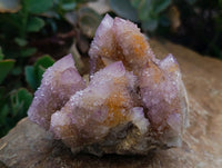 Natural Amethyst and Ametrine Spirit Clusters x 2 From Boekenhouthoek, South Africa
