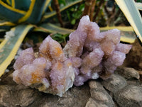 Natural Amethyst and Ametrine Spirit Clusters x 2 From Boekenhouthoek, South Africa
