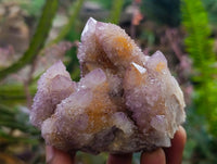 Natural Amethyst and Ametrine Spirit Clusters x 2 From Boekenhouthoek, South Africa