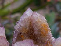 Natural Amethyst and Ametrine Spirit Clusters x 2 From Boekenhouthoek, South Africa