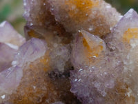 Natural Amethyst and Ametrine Spirit Clusters x 2 From Boekenhouthoek, South Africa