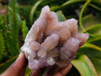 Natural Amethyst and Ametrine Spirit Clusters x 2 From Boekenhouthoek, South Africa