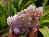 Natural Amethyst and Ametrine Spirit Clusters x 2 From Boekenhouthoek, South Africa