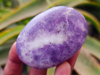 Polished Lepidolite Galets x 12 From Zimbabwe