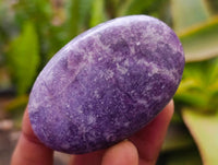 Polished Lepidolite Galets x 12 From Zimbabwe