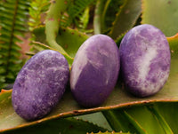Polished Lepidolite Galets x 12 From Zimbabwe