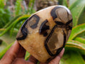 Polished Septerye Standing Free Forms x 3 From Mahajanga, Madagascar - Toprock Gemstones and Minerals 