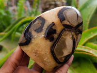 Polished Septerye Standing Free Forms x 3 From Mahajanga, Madagascar