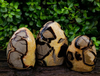 Polished Septerye Standing Free Forms x 3 From Mahajanga, Madagascar