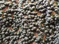 Natural Crystalline Malachite Specimens x 6 From Tenke Fungurume, Congo