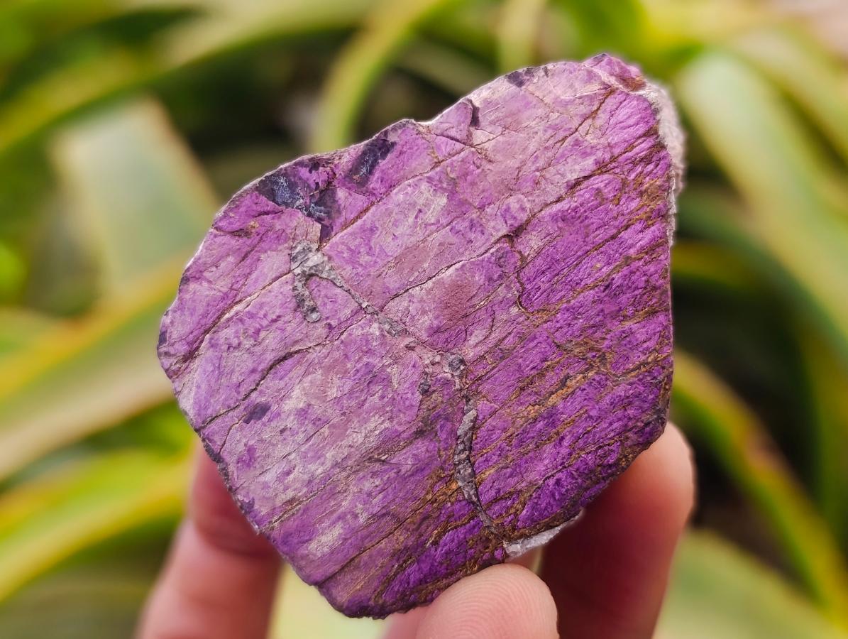 Natural Metallic Purpurite Cobbed Specimens x 12 From Erongo, Namibia