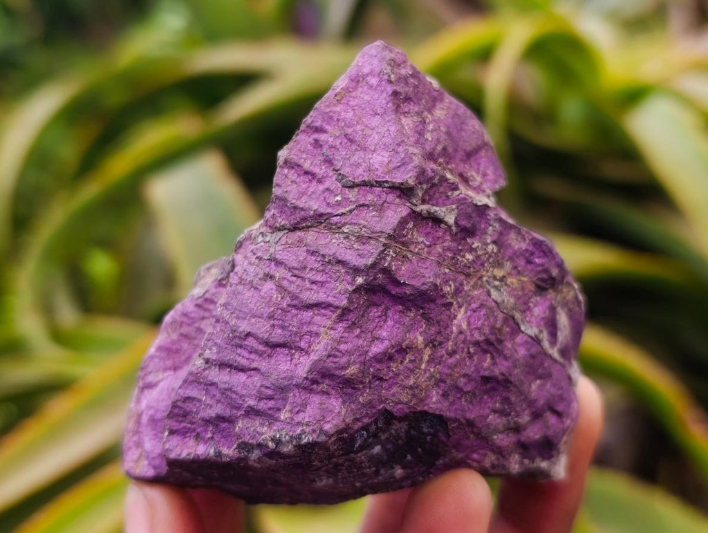 Natural Metallic Purpurite Cobbed Specimens x 12 From Erongo, Namibia